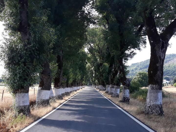 O Casulo Villa Marvão Dış mekan fotoğraf
